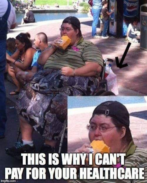 THIS IS WIIY I llll