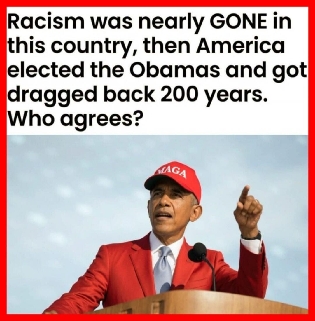 Racism was nearly GONE in this country, then America elected the Obamas and got dragged back 200 years. Who agrees?