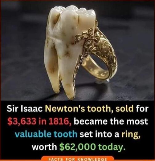 Sir Isaac Newtons tooth sold for EERCEERIRENIEN 111 R A 0 VEWERIERGIE T T worth 62000 today