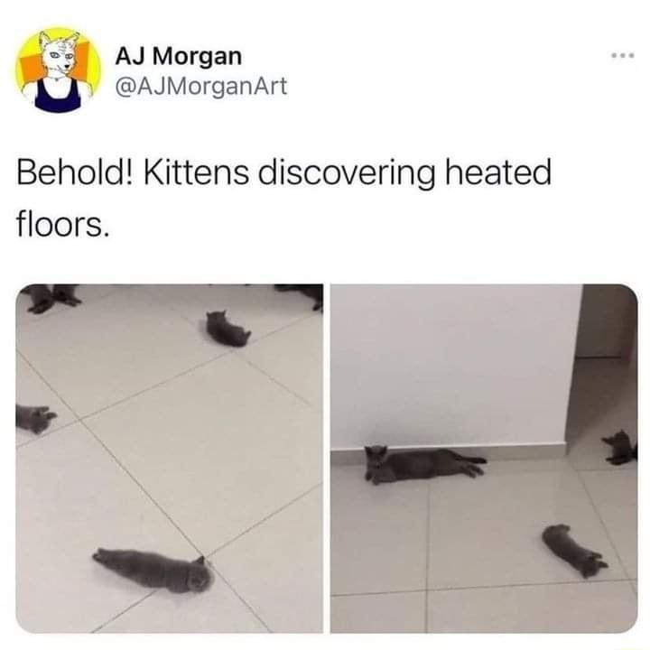 AJ Morgan AJMorganArt Behold Kittens discovering heated floors