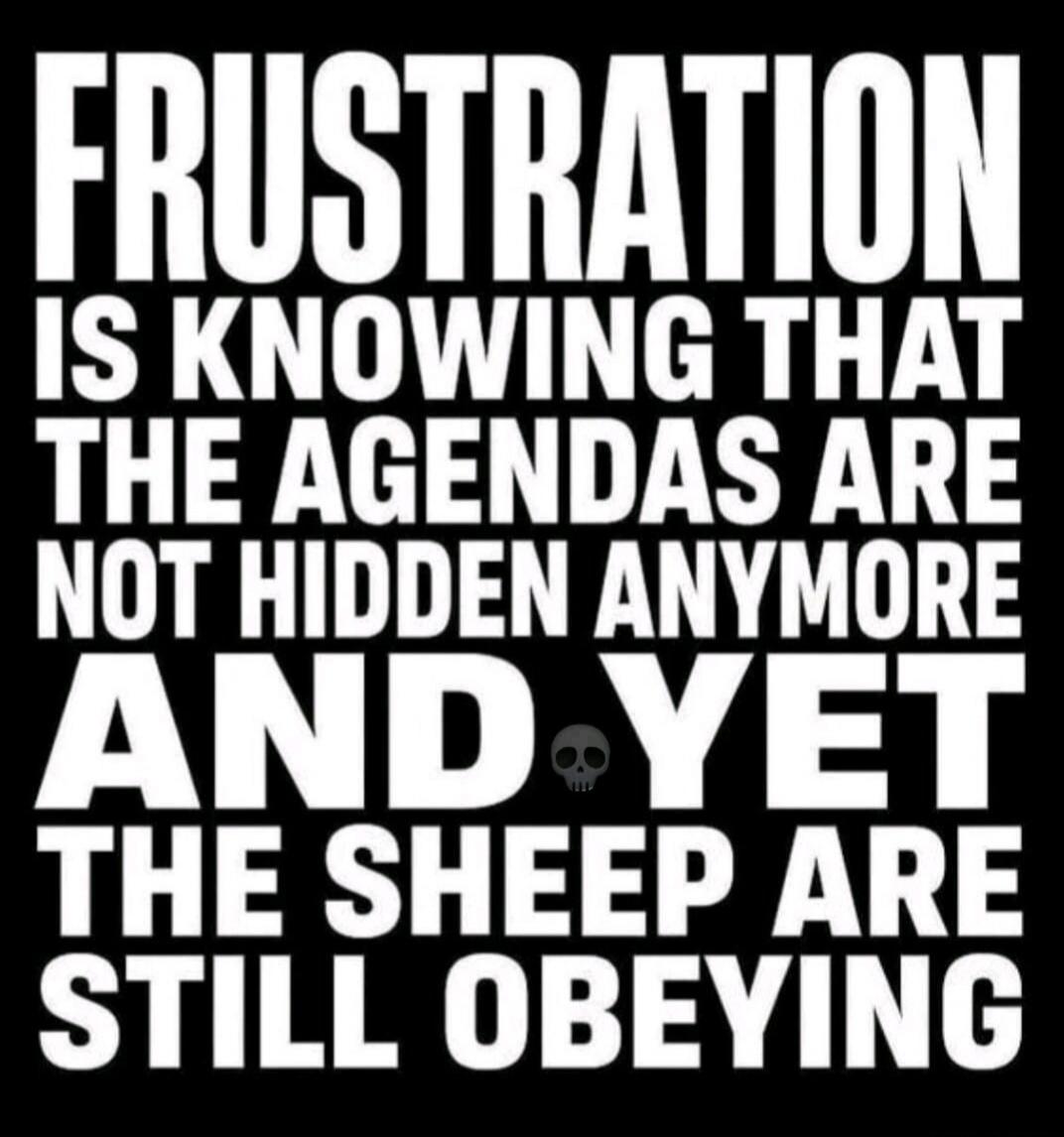 FRUSTRATION IS KNOWING THAT THE AGENDAS ARE NOT HIDDEN ANYMORE AND YET THE SHEEP ARE STILL OBEYING