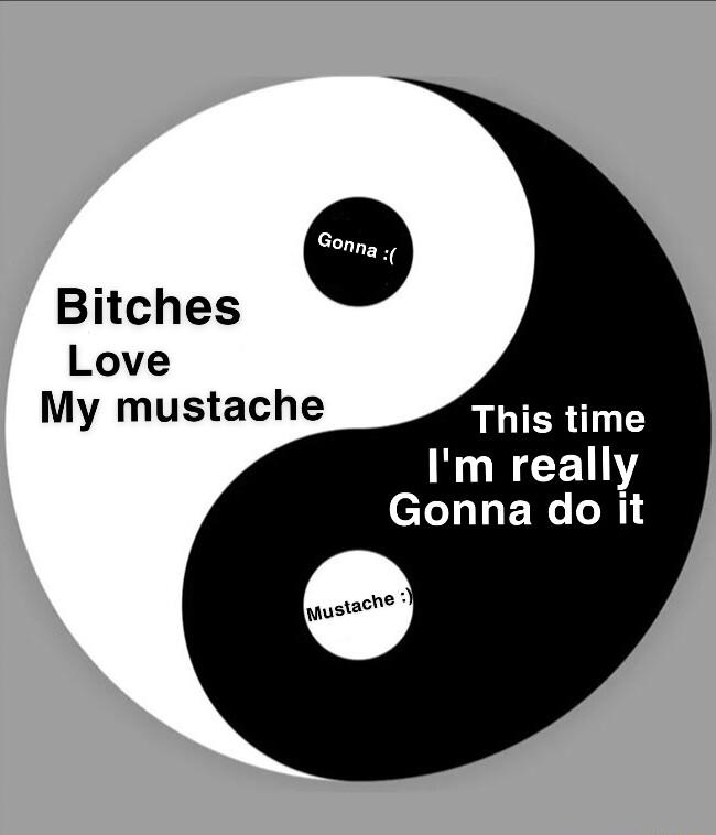 Bitches Love My mustache This time INURCET el HILEN N