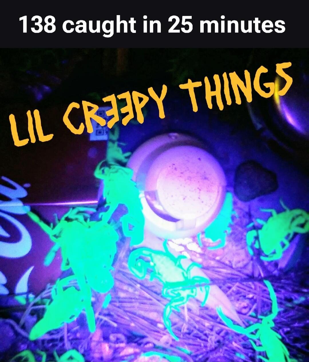 138 caught in 25 minutes LIL CREEPY THINGS