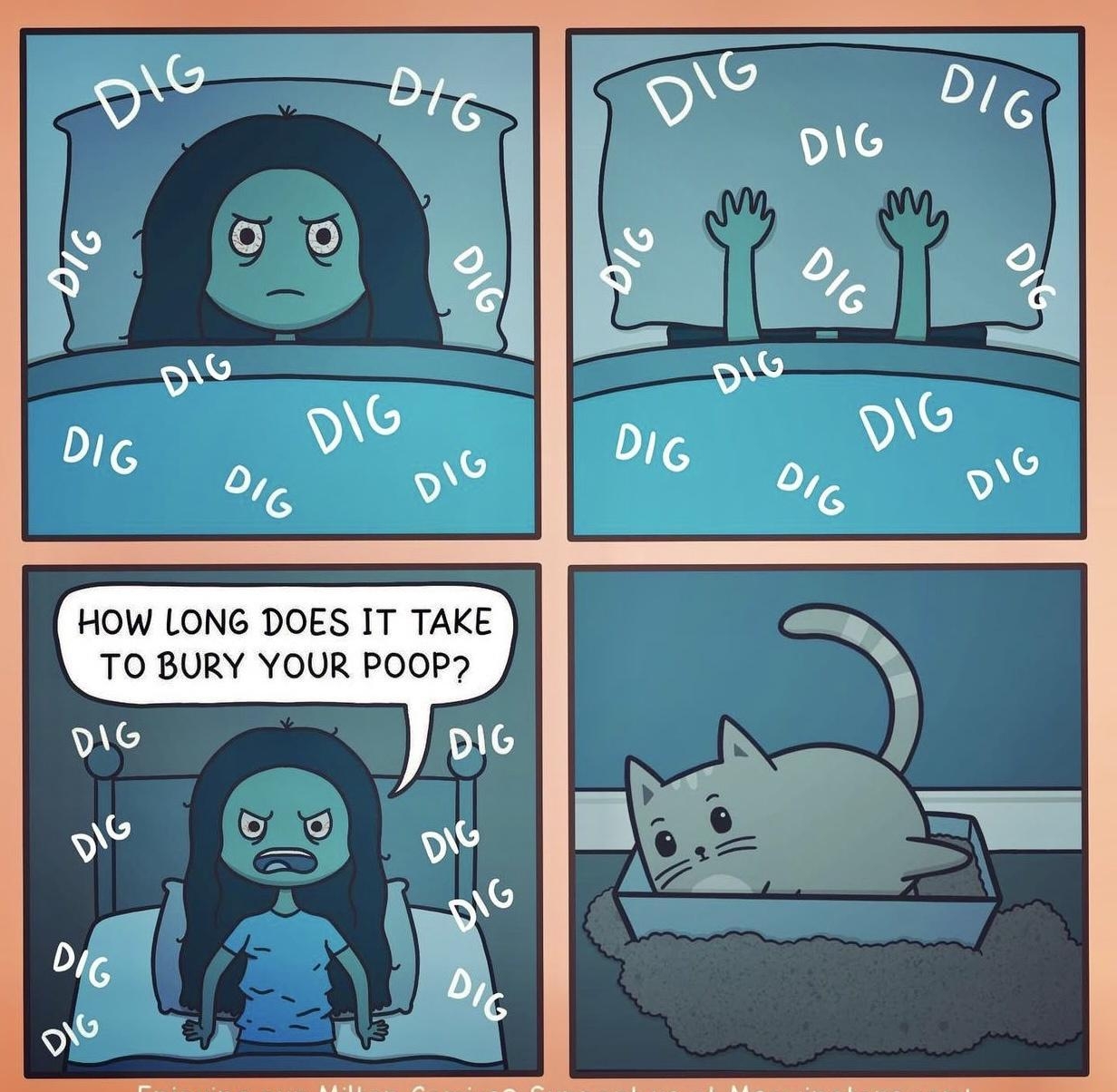 HOW LONG DOES IT TAKE TO BURY YOUR POOP