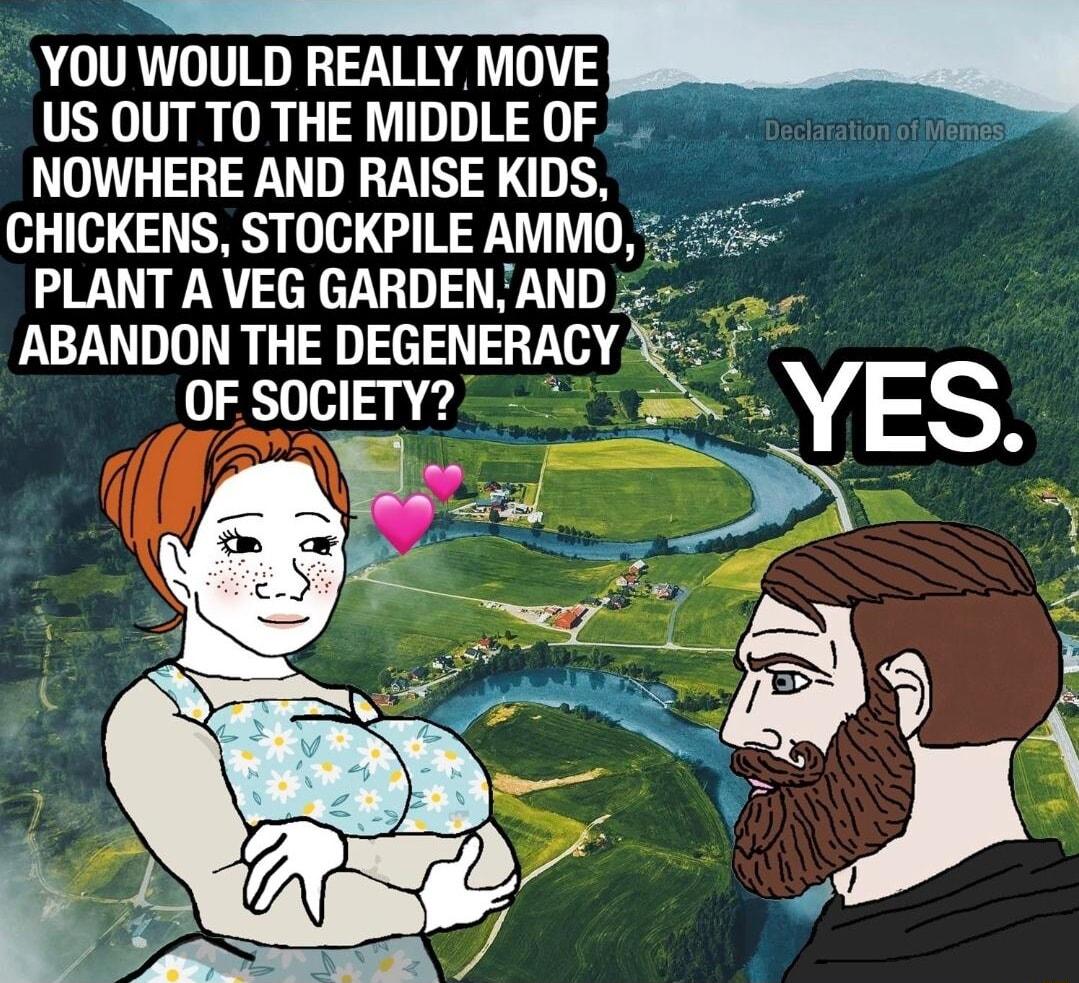 YOU WOULD REALLY MOVE US OUT TO THE MIDDLE OF NOWHERE AND RAISE KIDS CHICKENS STOCKPILE AMMO PLANT A VEG GARDENAND ABANDON THE DEGENERACY OF SOCIETY
