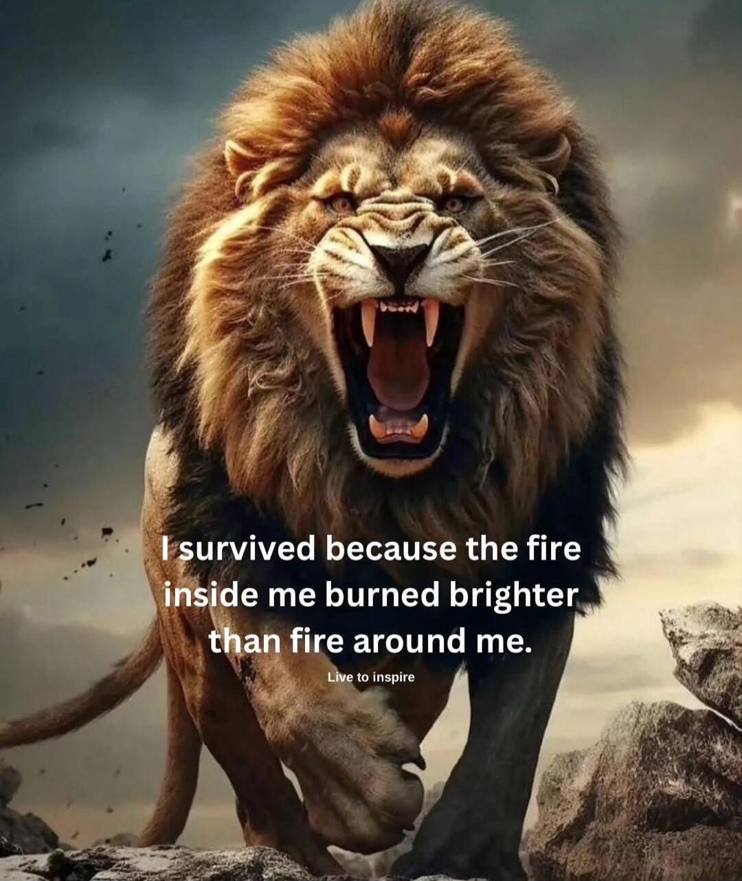 I survived because the fire inside me burned brighter than fire around me. Live to inspire