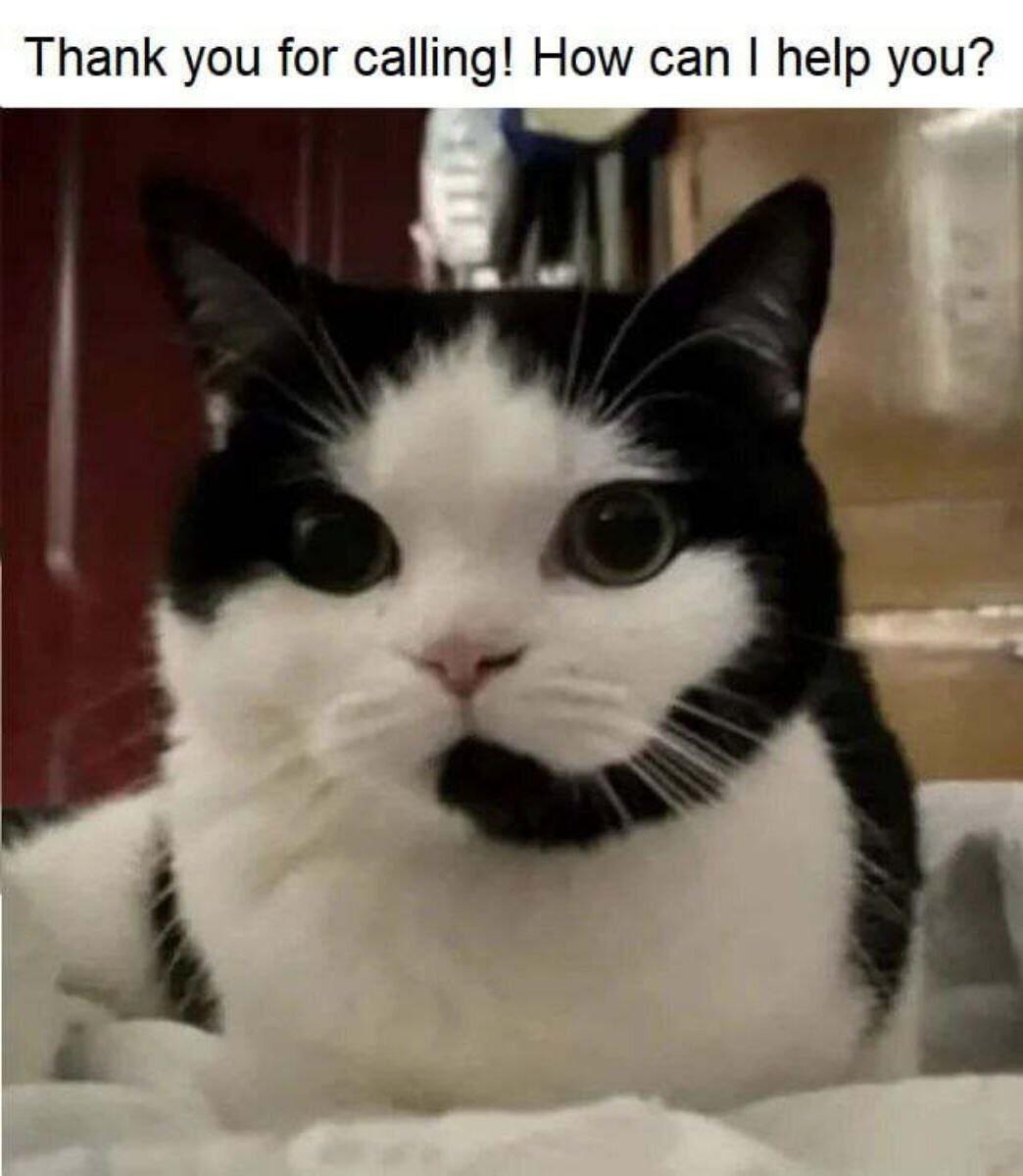 Thank you for calling How can help you