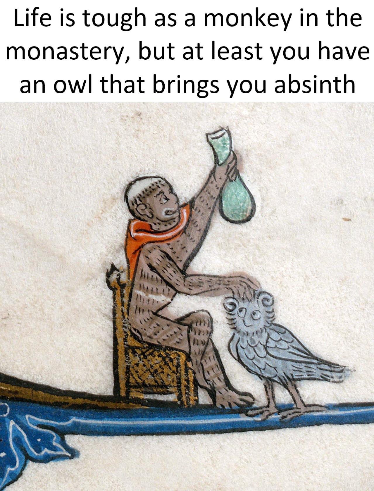 Life is tough as a monkey in the monastery but at least you have an owl that brings you absinth