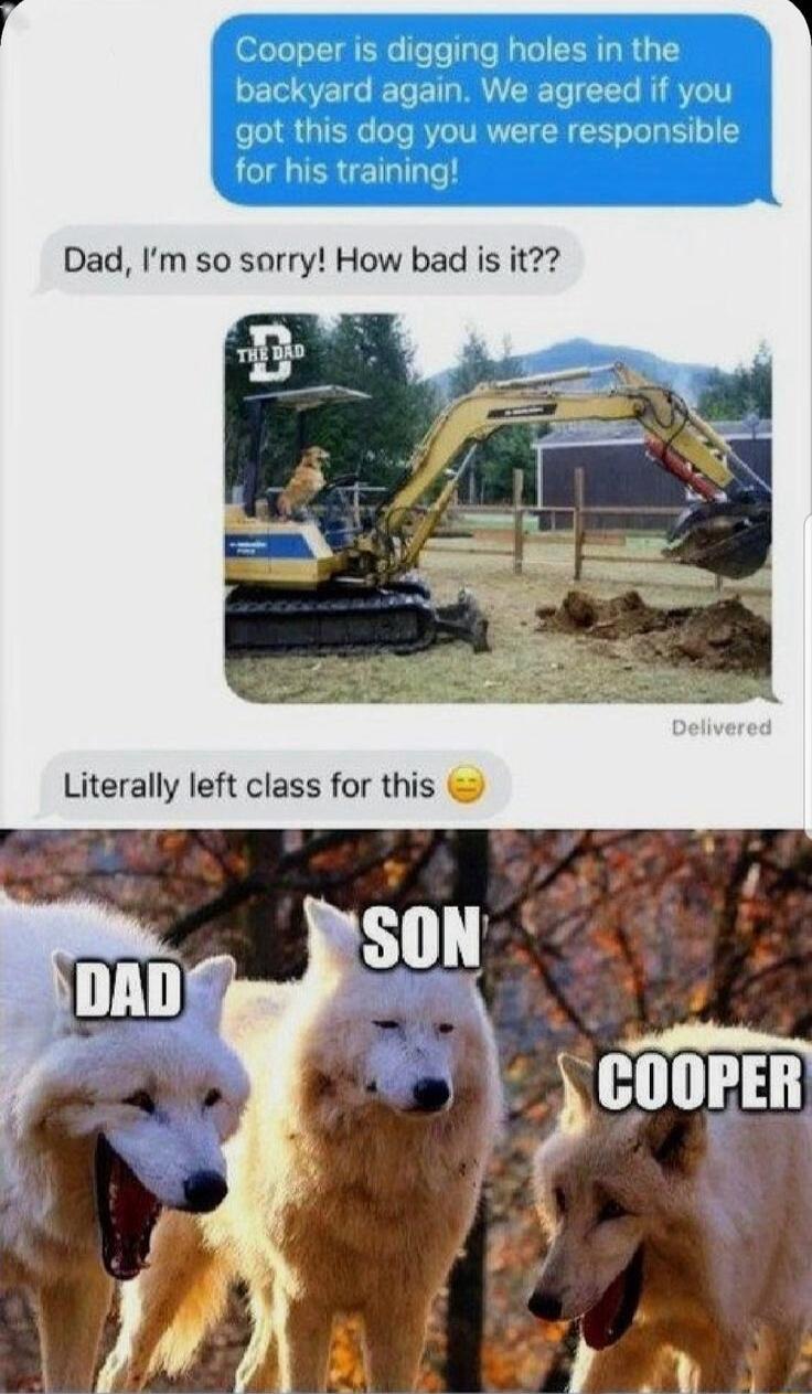 Cooper is digging holes in the backyard again We agreed if you got this dog you were responsible for his training Dad Im so sorry How bad is it