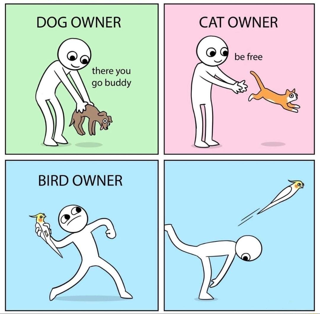 DOG OWNER there you go buddy CAT OWNER