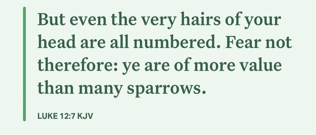 But even the very hairs of your head are all numbered. Fear not therefore: ye are of more value than many sparrows. LUKE 12:7 KJV