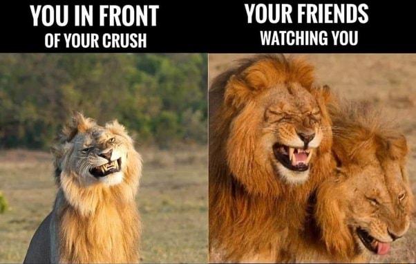 YOU IN FRONT YOUR FRIENDS OF YOUR CRUSH WATCHING YOU o