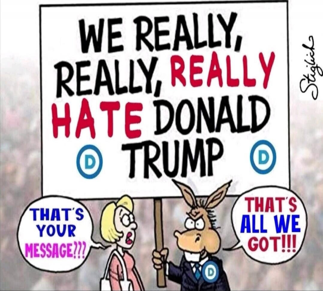 WE REALLY, REALLY, REALLY HATE DONALD TRUMP\nTHAT'S YOUR MESSAGE?!\nTHAT'S ALL WE GOT!!!