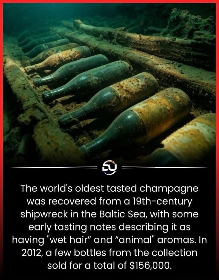 The world's oldest tasted champagne was recovered from a 19th-century shipwreck in the Baltic Sea, with some early tasting notes describing it as having 