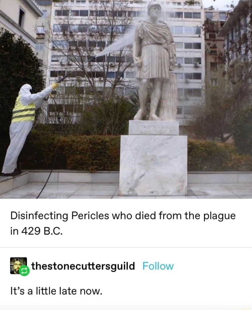 Disinfecting Pericles who died from the plague in429 BC gthestonecuersguild Its a little late now