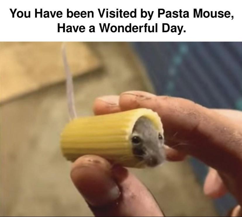 You Have been Visited by Pasta Mouse Have a Wonderful Day