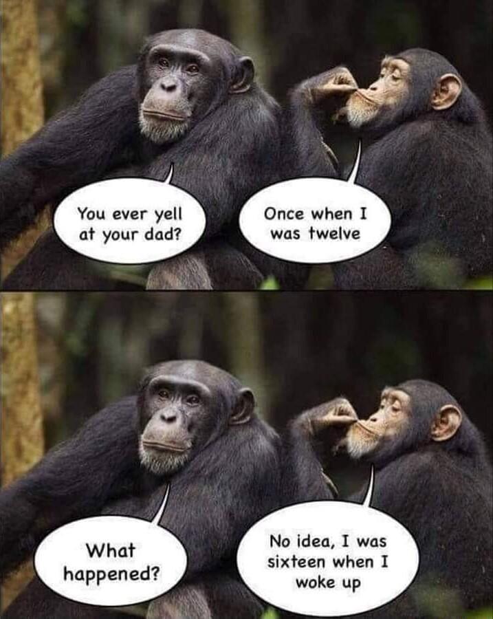 Once when 1 was twelve You ever yell at your dad No idea I was sixteen when I woke up What happened