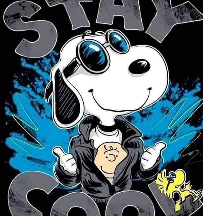 STAY