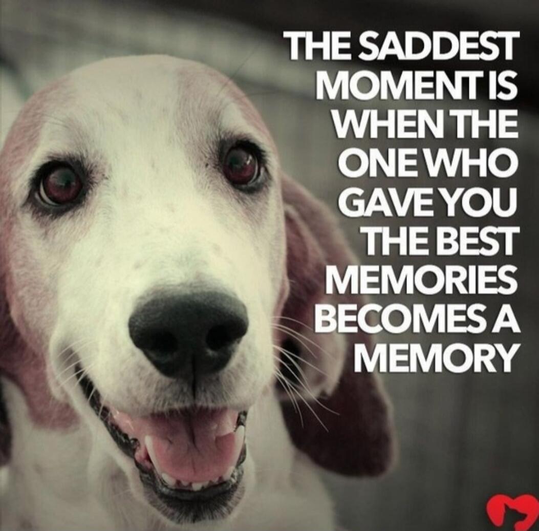 THE SADDEST MOMENT IS WHEN THE ONE WHO GAVE YOU THE BEST MEMORIES BECOMES A MEMORY
