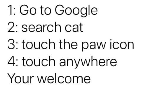1 Go to Google 2 search cat 3 touch the paw icon 4 touch anywhere Your welcome