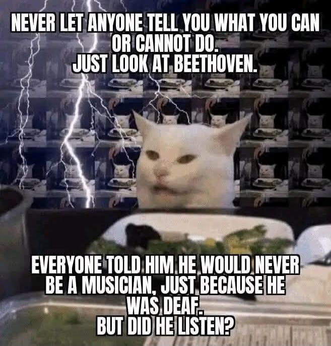 NEVER LET ANYONE TELL YOU WHAT YOU CAN OR CANNOT DO. JUST LOOK AT BEETHOVEN. EVERYONE TOLD HIM HE WOULD NEVER BE A MUSICIAN, JUST BECAUSE HE WAS DEAF. BUT DID HE LISTEN?