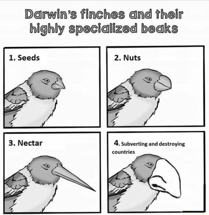 Darwins finches and their highly specialized beaks 4 subverting and destroying countries