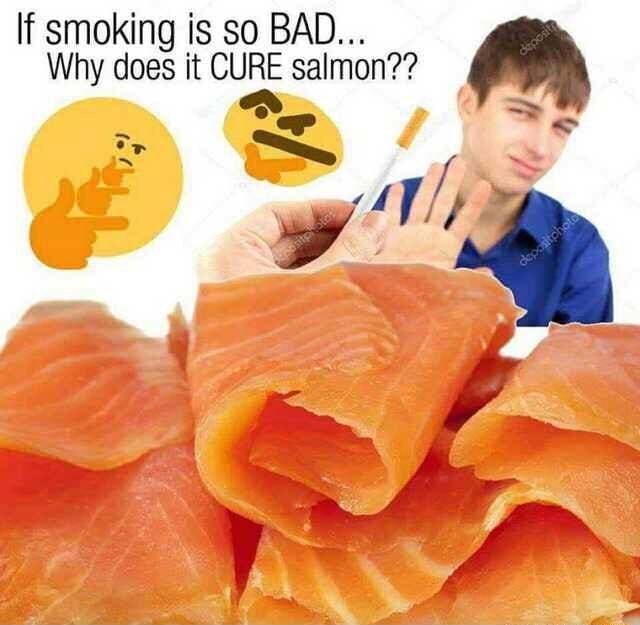 If smoking is so BAD Why does it CURE salmon LS y 2