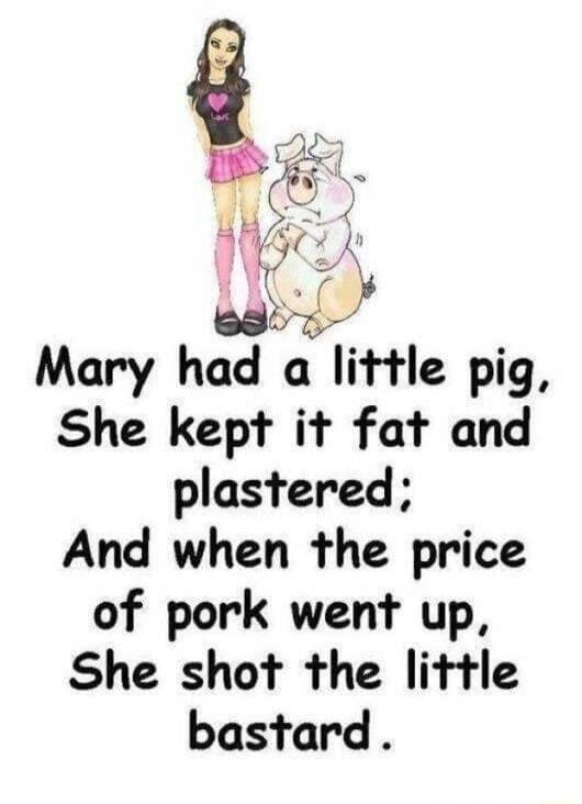 4L 7 y Mary had a little pig She kept it fat and plastered And when the price of pork went up She shot the little bastard