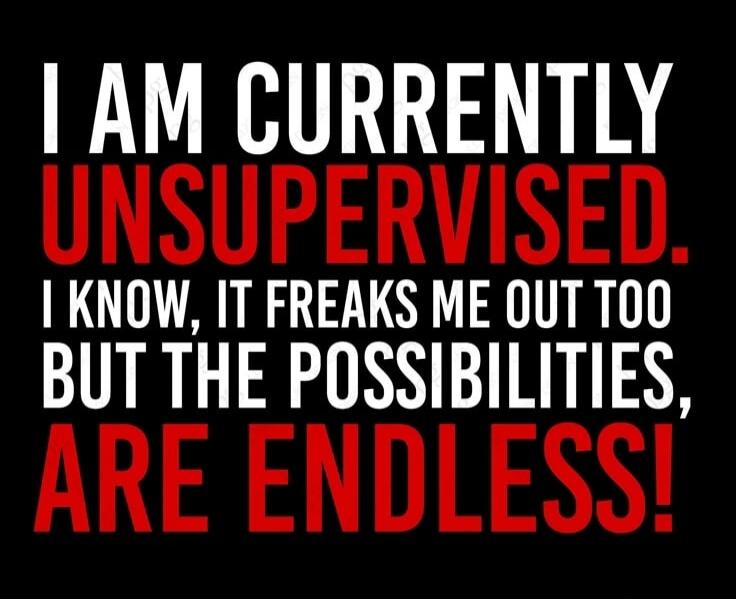 I AM CURRENTLY UNSUPERVISED. I KNOW, IT FREAKS ME OUT TOO BUT THE POSSIBILITIES, ARE ENDLESS!