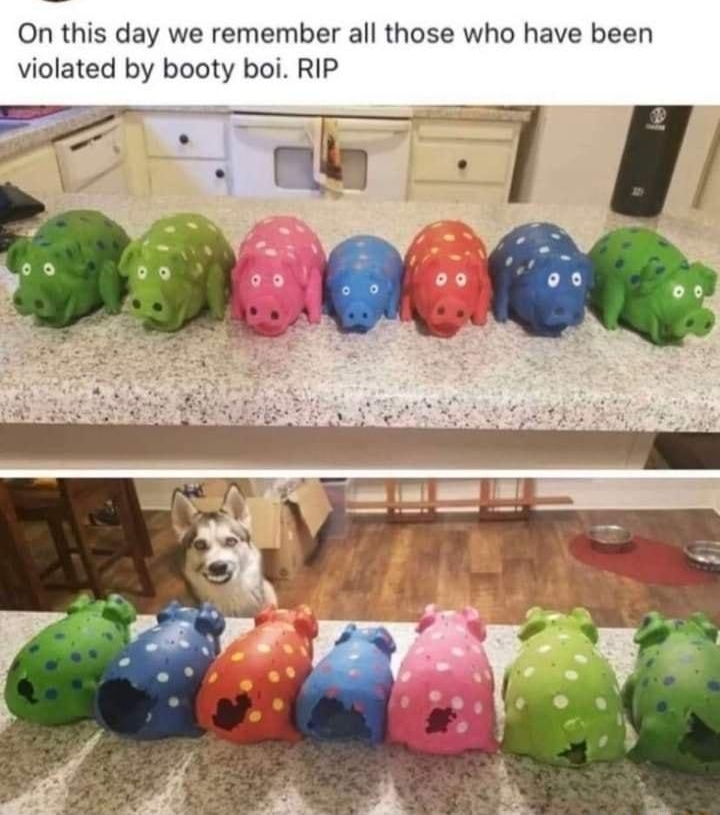 EWEWSP Dogspotting Society 5 hes On this day we remember all those who have been violated by booty boi RIP