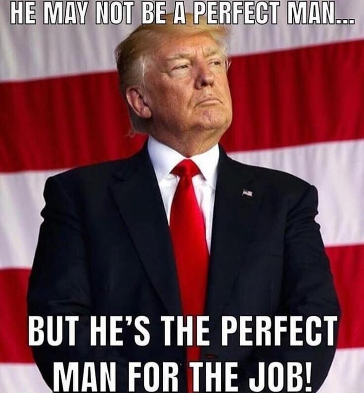 HE MAY NOT BE A PERFECT MAN... BUT HE'S THE PERFECT MAN FOR THE JOB!