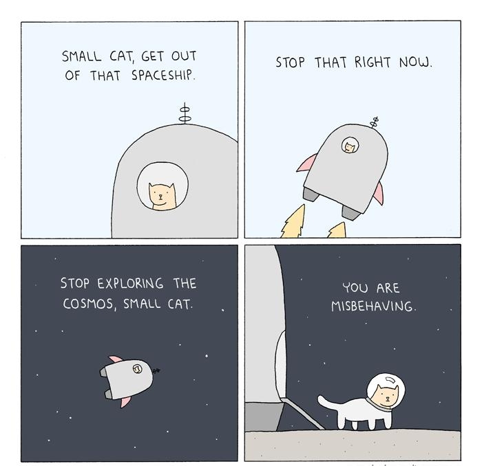 SMALL CAT GET OUT OF THAT SPACESHIP STOP THAT RIGHT NOW STOP EXPLORING THE COSMOS SMALL YOU ARE N TAV N N poorlydrawnlinescom