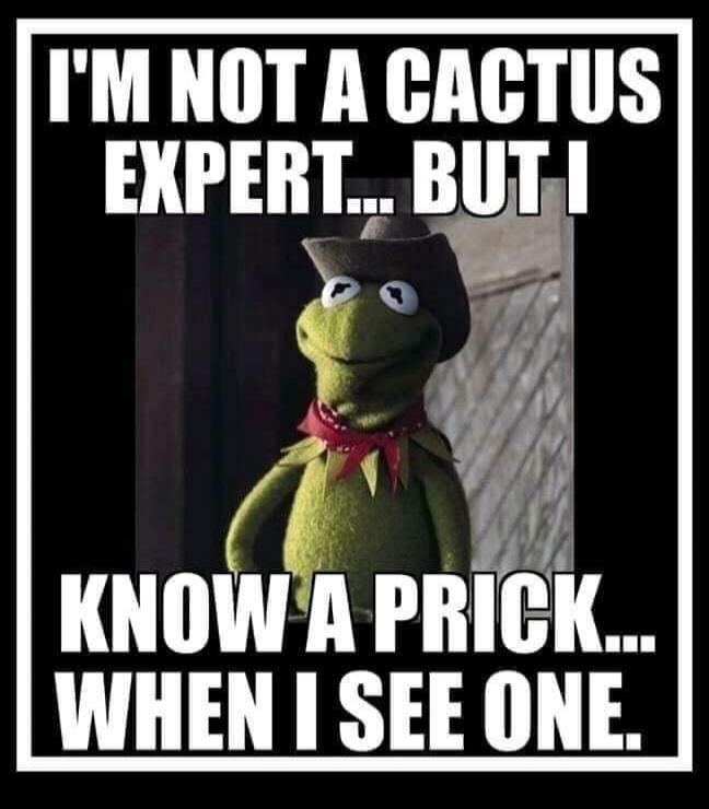 I'M NOT A CACTUS EXPERT... BUT I KNOW A PRICK... WHEN I SEE ONE.