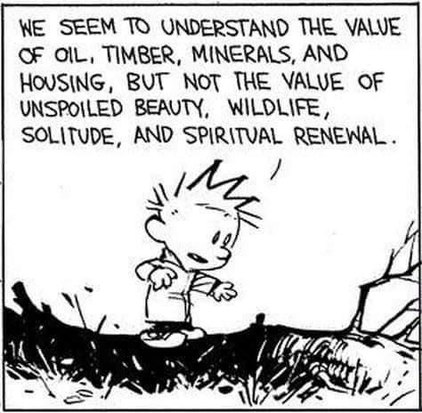 WE SEEM TO UNDERSTAND THE VAWE OF OlL TIMBER MINERALS AND HOUSING BUT NOT THE VALVE OF UNSPOILED BEAUTY WILOLIFE SOLITUDE AND SPIRITUAL RENEWAL