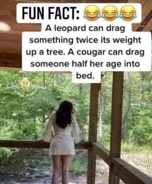 FUN FACT A leopard can drag something twice its weight up a tree A cougar can drag someone half her age into