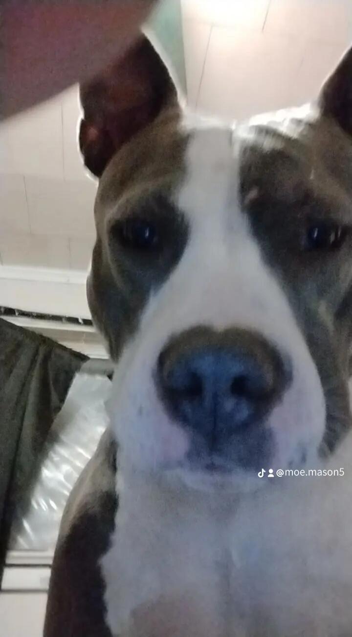 @moe.mason5