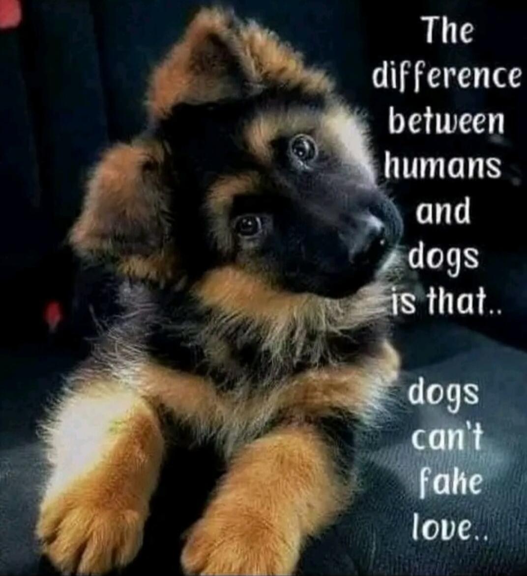 The difference between humans and dogs is that.. dogs can't fafe love..