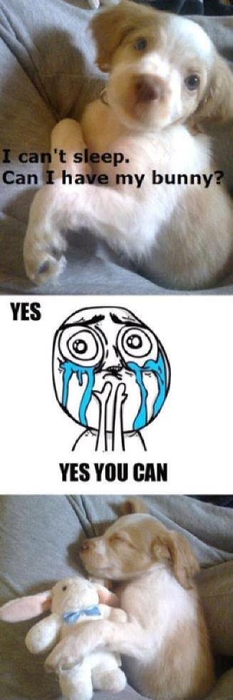 I can't sleep. Can I have my bunny?
YES
YES YOU CAN