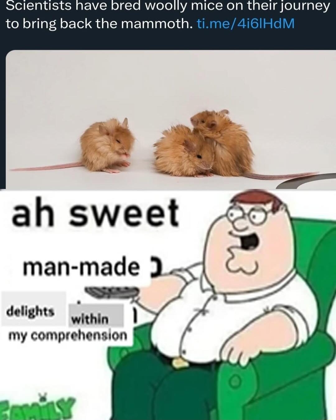 nave bred woolly mice on their journey to bring back the mammoth man made delights within my comprehension