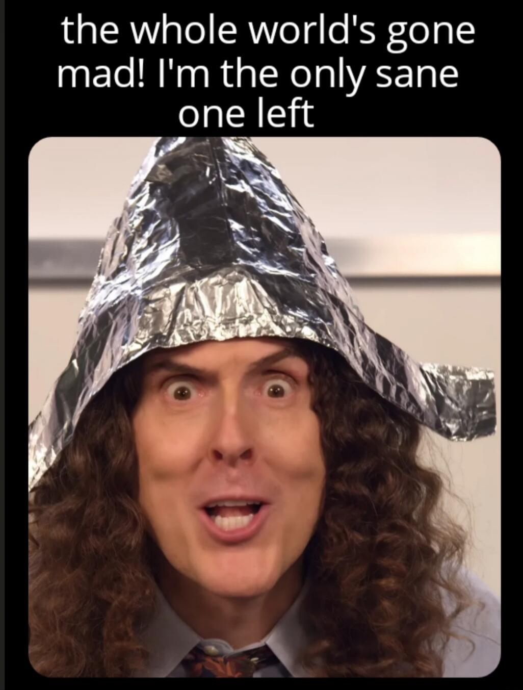 the whole world's gone mad! I'm the only sane one left