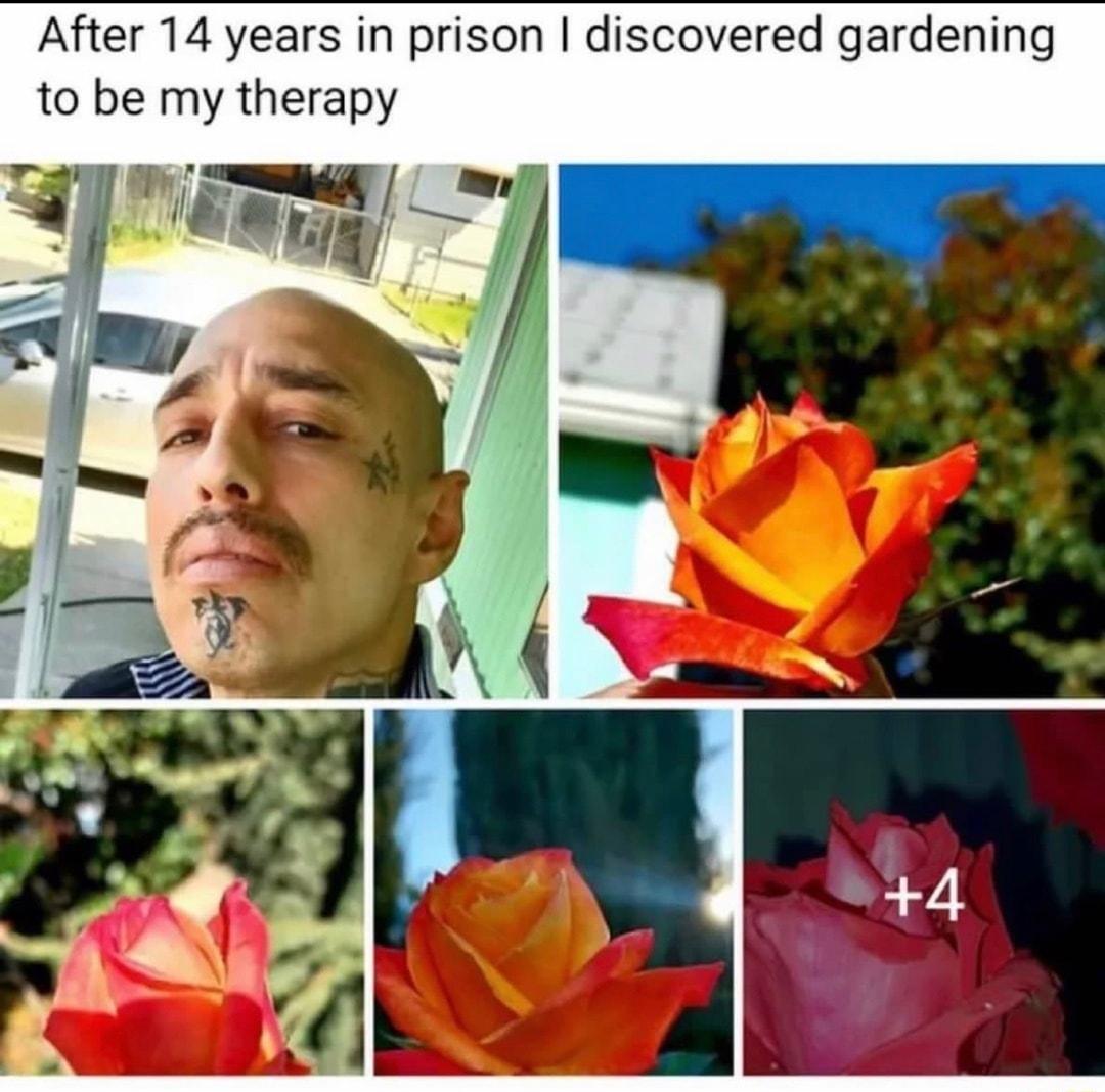 After 14 years in prison discovered gardening to be my therapy o