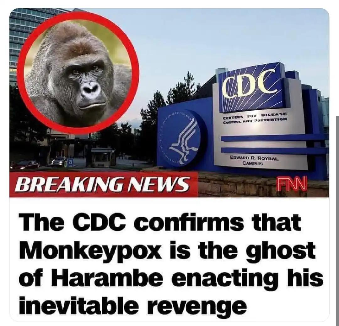 The CDC confirms that Monkeypox is the ghost of Harambe enacting his inevitable revenge