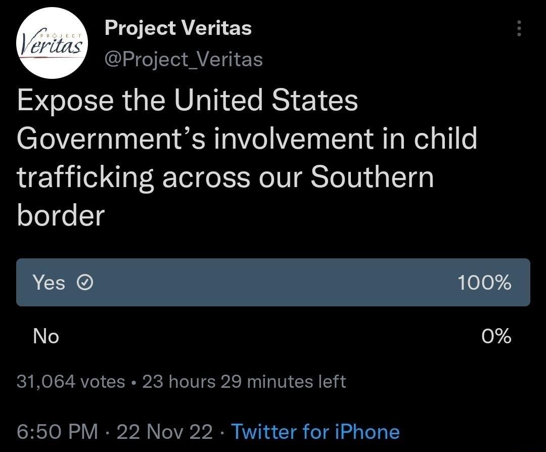 Project Veritas Project Veritas Expose the United States Governments involvement in child trafficking across our Southern border 0 31064 votes 23 hours 29 minutes left 650 PM 22 Nov 22 Twitter for iPhone