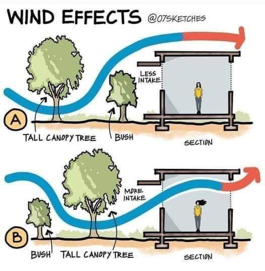 WIND EFFECTS orskeuies