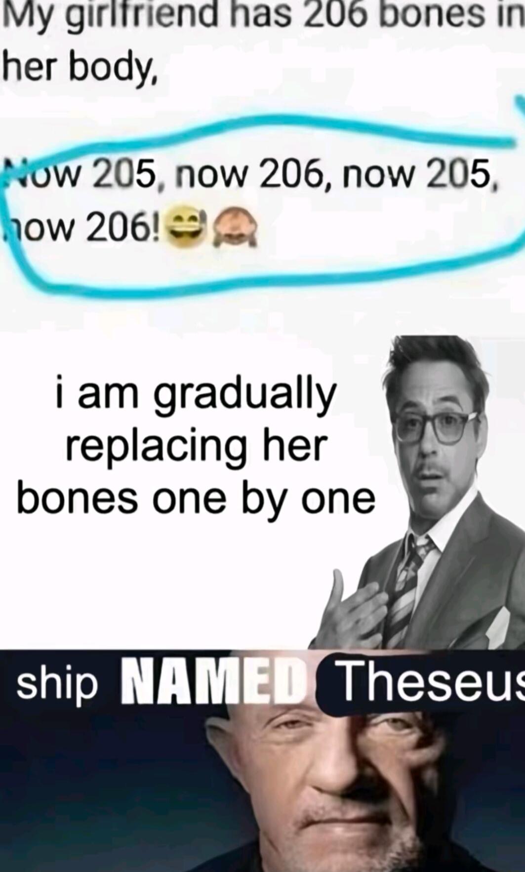 My girliriend has ZU0 bones In her body NOw 205 now 206 now 205 now 206 2 i am gradually replacing her bones one by one