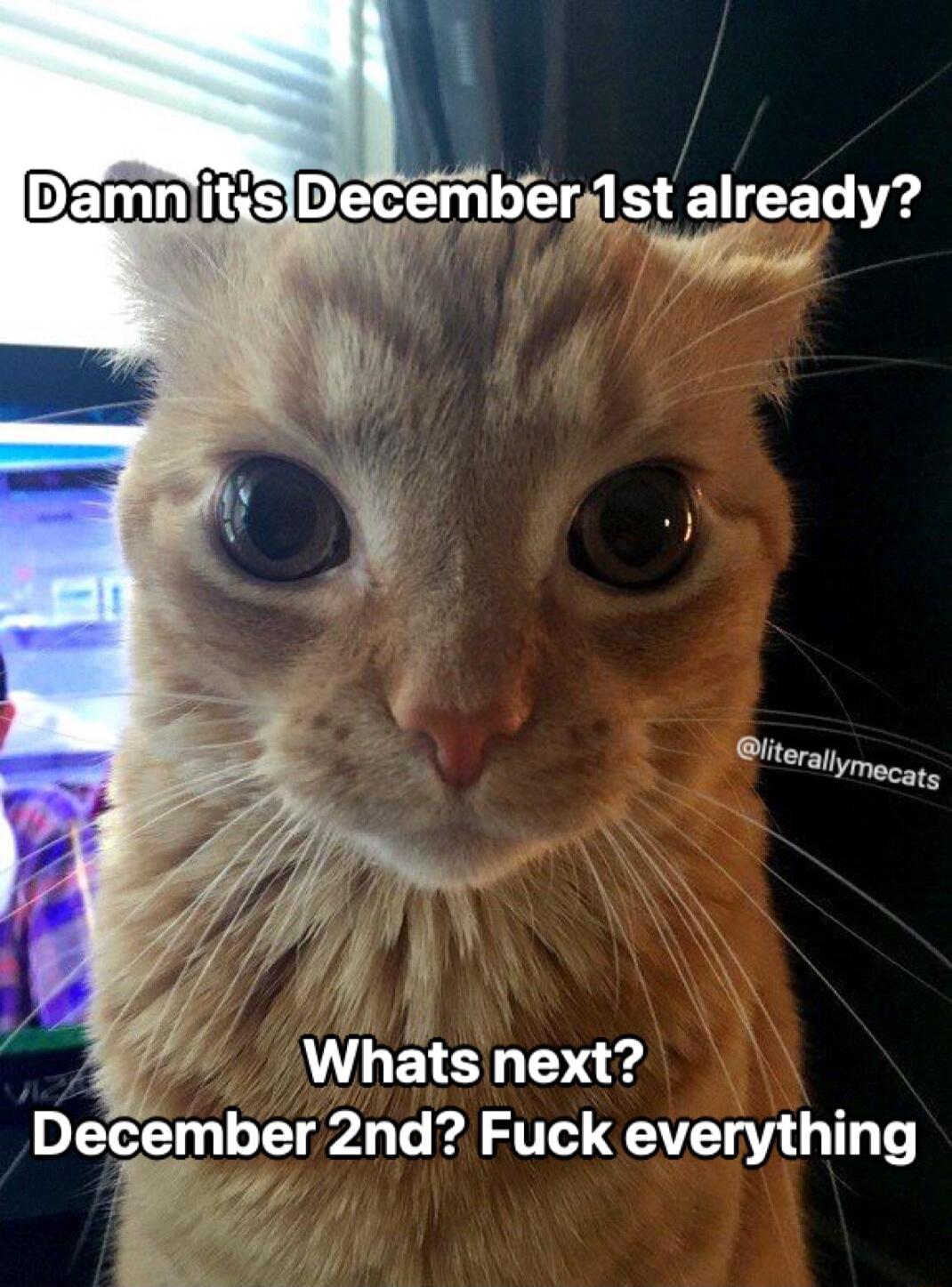 m December1 st already 7 Wowir lterailymee L ETS Y Deember 2nd Fuck everything