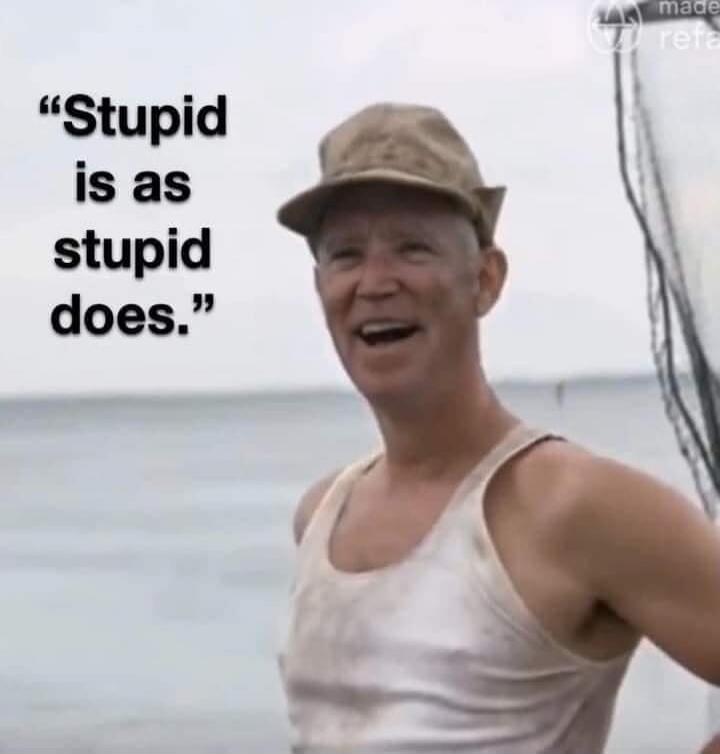Stupid is as stupid does.