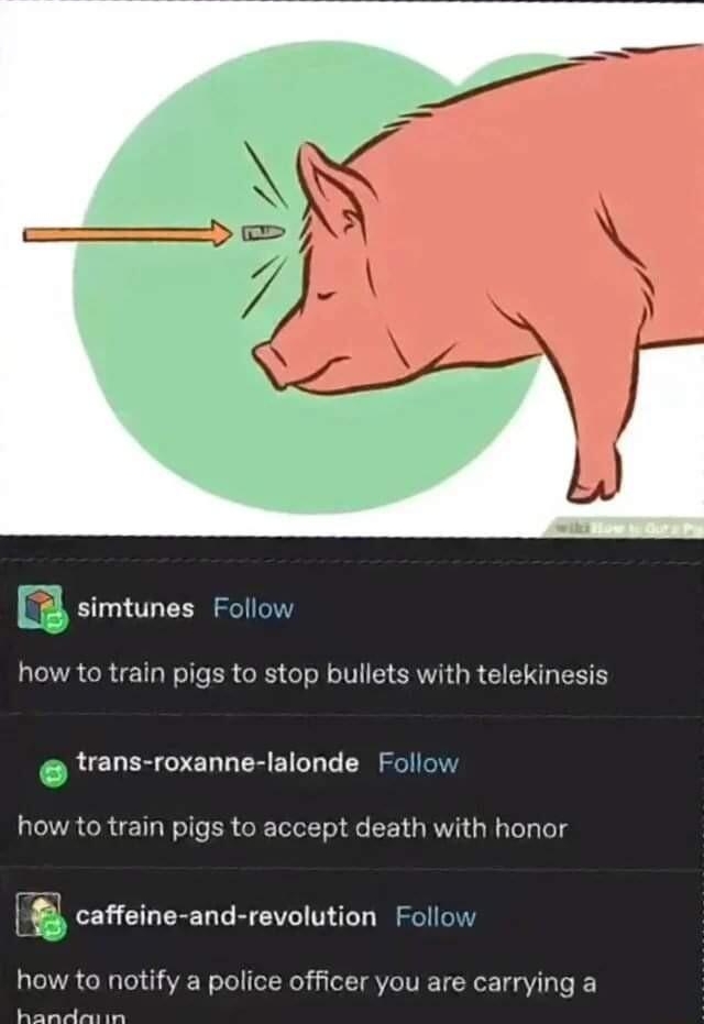 wikihow illustrations g simtunes Follow how to train pigs to stop bullets with telekinesis trans roxanne lalonde Follow how to train pigs to accept death with honor 48 caffeine and revolution Follow bid how ta notify a police officer you are carrying a Rt