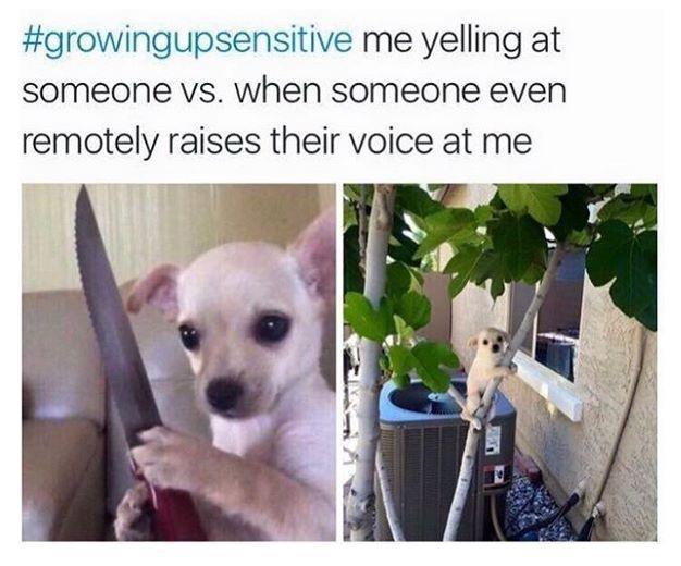 growingupsensitive me yelling at someone vs when someone even remotely raises their voice at me