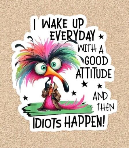 I WAKE UP EVERYDAY WITH A GOOD ATTITUDE AND THEN IDIOTS HAPPEN!